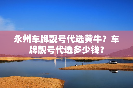 永州车牌靓号代选黄牛？车牌靓号代选多少钱？-第1张图片-车牌靓号网