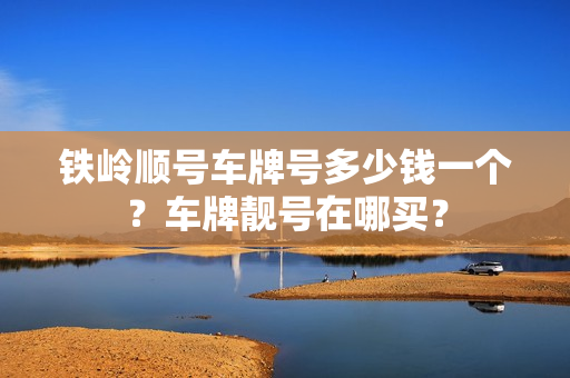 铁岭顺号车牌号多少钱一个？车牌靓号在哪买？-第1张图片-车牌靓号网