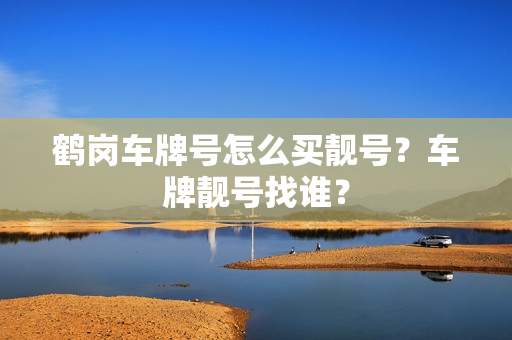 鹤岗车牌号怎么买靓号？车牌靓号找谁？-第1张图片-车牌靓号网