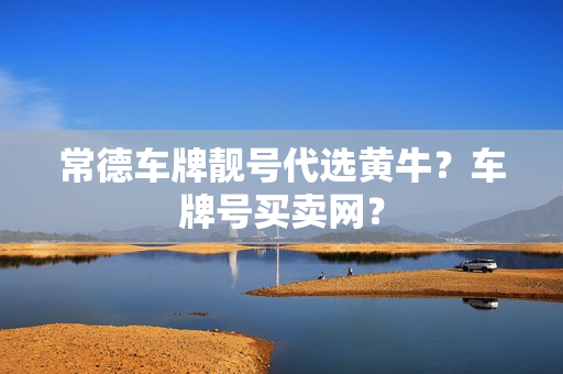 常德车牌靓号代选黄牛？车牌号买卖网？-第1张图片-车牌靓号网