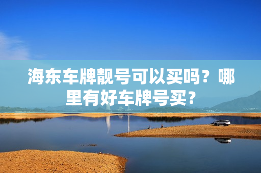 海东车牌靓号可以买吗？哪里有好车牌号买？-第1张图片-车牌靓号网