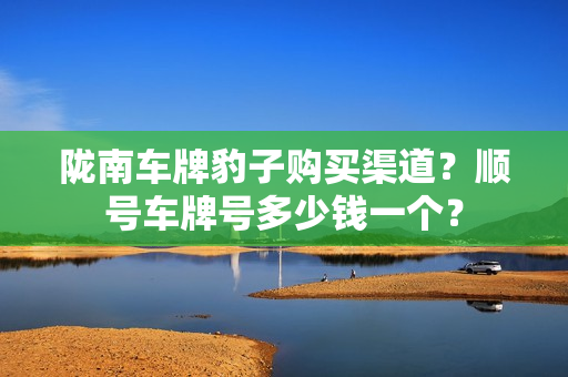 陇南车牌豹子购买渠道？顺号车牌号多少钱一个？-第1张图片-车牌靓号网