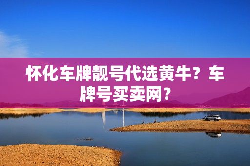 怀化车牌靓号代选黄牛？车牌号买卖网？-第1张图片-车牌靓号网