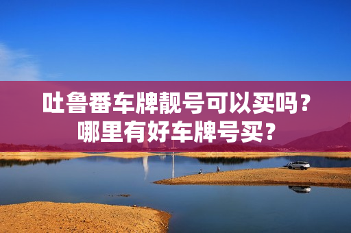 吐鲁番车牌靓号可以买吗？哪里有好车牌号买？-第1张图片-车牌靓号网