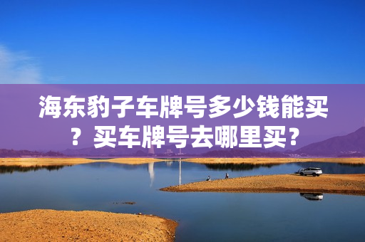 海东豹子车牌号多少钱能买？买车牌号去哪里买？-第1张图片-车牌靓号网