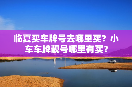 临夏买车牌号去哪里买？小车车牌靓号哪里有买？-第1张图片-车牌靓号网