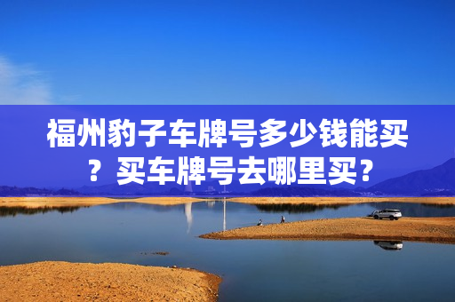 福州豹子车牌号多少钱能买？买车牌号去哪里买？-第1张图片-车牌靓号网