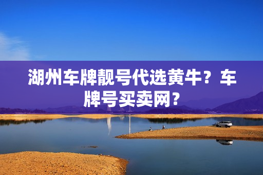 湖州车牌靓号代选黄牛？车牌号买卖网？-第1张图片-车牌靓号网