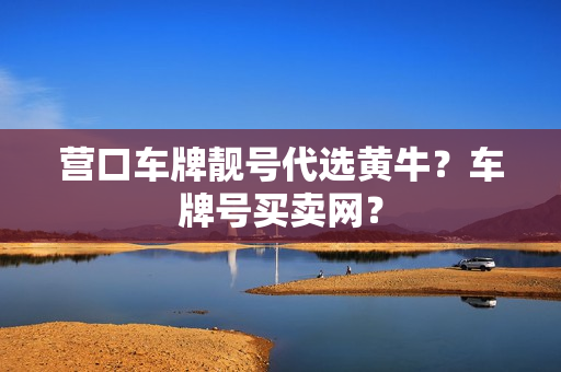 营口车牌靓号代选黄牛？车牌号买卖网？-第1张图片-车牌靓号网