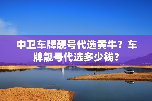 中卫车牌靓号代选黄牛？车牌靓号代选多少钱？-第1张图片-车牌靓号网