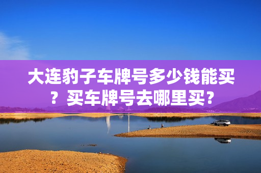 大连豹子车牌号多少钱能买？买车牌号去哪里买？-第1张图片-车牌靓号网