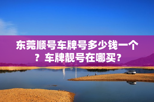 东莞顺号车牌号多少钱一个？车牌靓号在哪买？-第1张图片-车牌靓号网