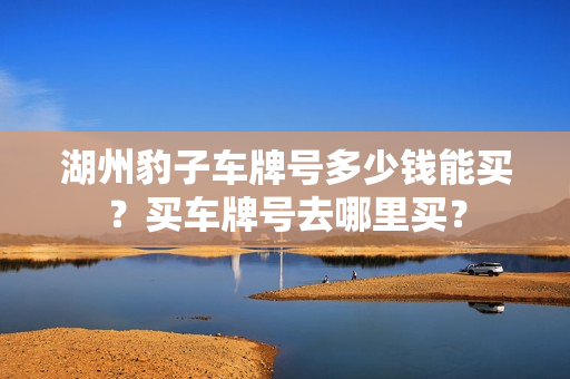 湖州豹子车牌号多少钱能买？买车牌号去哪里买？-第1张图片-车牌靓号网