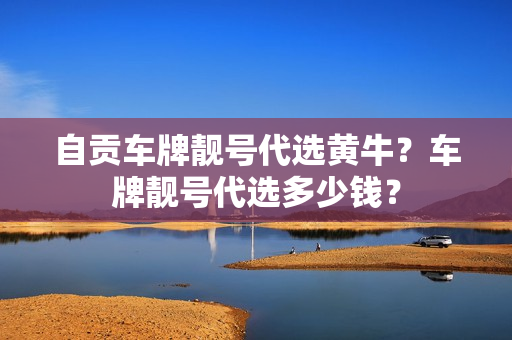 自贡车牌靓号代选黄牛？车牌靓号代选多少钱？-第1张图片-车牌靓号网