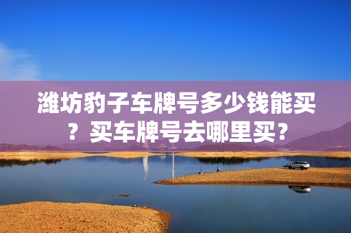 潍坊豹子车牌号多少钱能买？买车牌号去哪里买？-第1张图片-车牌靓号网