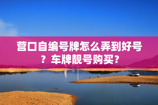 营口自编号牌怎么弄到好号？车牌靓号购买？-第1张图片-车牌靓号网