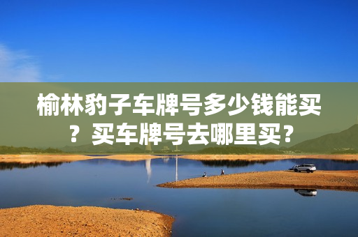 榆林豹子车牌号多少钱能买？买车牌号去哪里买？-第1张图片-车牌靓号网