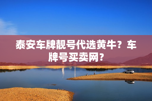 泰安车牌靓号代选黄牛？车牌号买卖网？-第1张图片-车牌靓号网