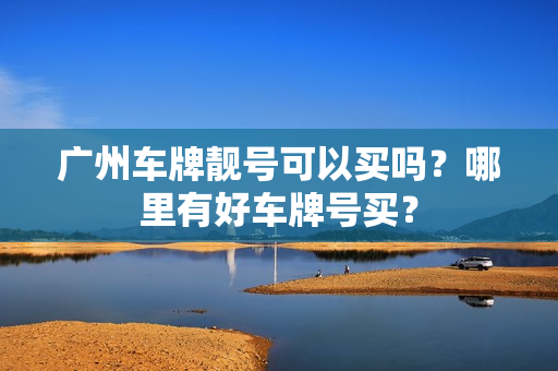 广州车牌靓号可以买吗？哪里有好车牌号买？-第1张图片-车牌靓号网