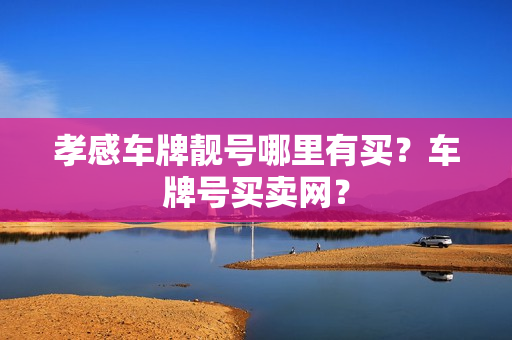 孝感车牌靓号哪里有买？车牌号买卖网？-第1张图片-车牌靓号网