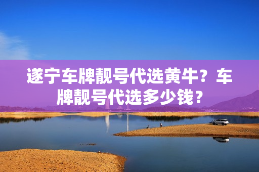 遂宁车牌靓号代选黄牛？车牌靓号代选多少钱？-第1张图片-车牌靓号网