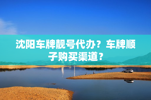 沈阳车牌靓号代办？车牌顺子购买渠道？-第1张图片-车牌靓号网