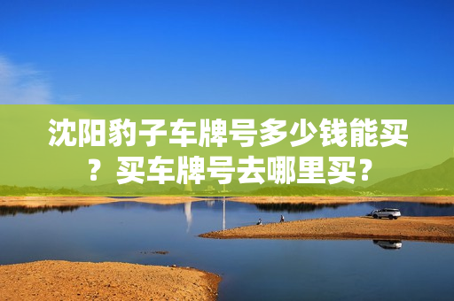 沈阳豹子车牌号多少钱能买？买车牌号去哪里买？-第1张图片-车牌靓号网