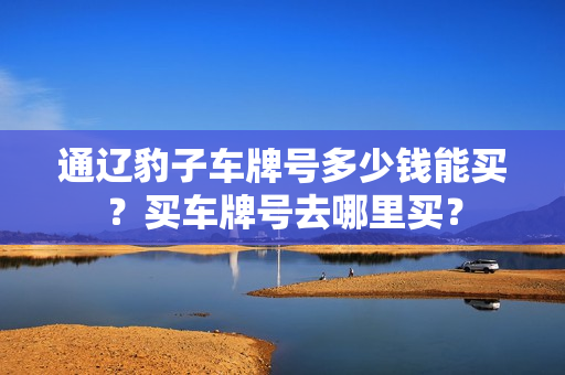 通辽豹子车牌号多少钱能买？买车牌号去哪里买？-第1张图片-车牌靓号网