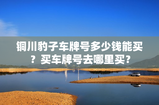 铜川豹子车牌号多少钱能买？买车牌号去哪里买？-第1张图片-车牌靓号网