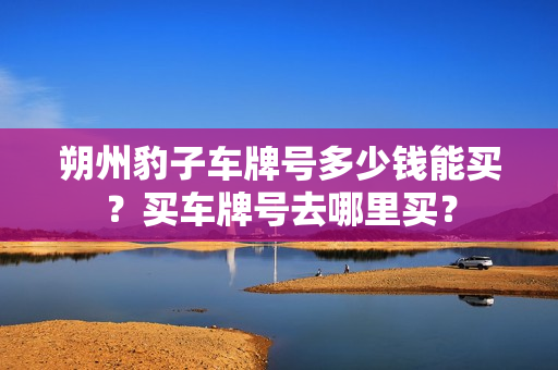 朔州豹子车牌号多少钱能买？买车牌号去哪里买？-第1张图片-车牌靓号网