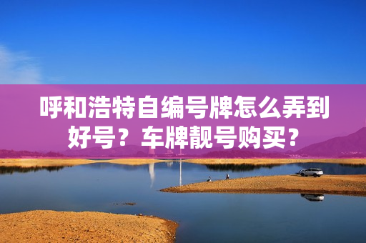 呼和浩特自编号牌怎么弄到好号？车牌靓号购买？-第1张图片-车牌靓号网