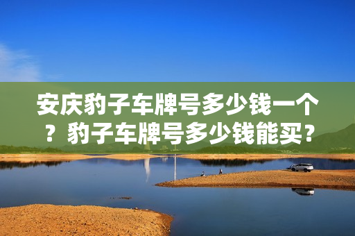 安庆豹子车牌号多少钱一个？豹子车牌号多少钱能买？-第1张图片-车牌靓号网