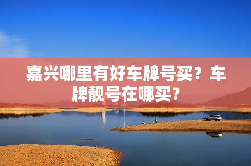 嘉兴哪里有好车牌号买？车牌靓号在哪买？-第1张图片-车牌靓号网