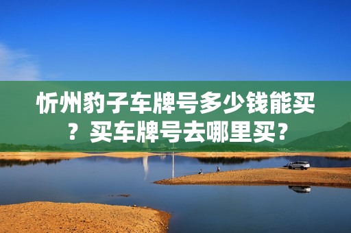 忻州豹子车牌号多少钱能买？买车牌号去哪里买？-第1张图片-车牌靓号网