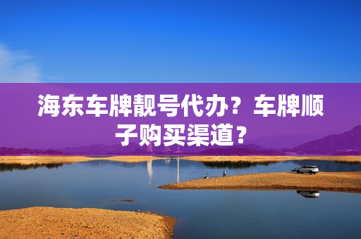 海东车牌靓号代办？车牌顺子购买渠道？-第1张图片-车牌靓号网