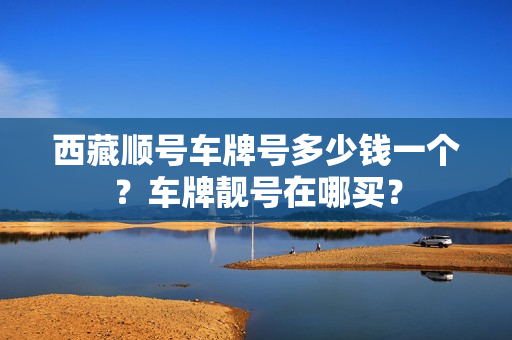 西藏顺号车牌号多少钱一个？车牌靓号在哪买？-第1张图片-车牌靓号网