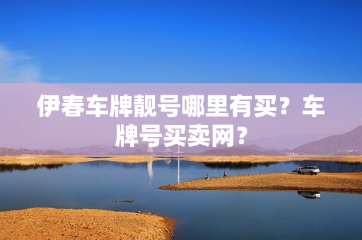 伊春车牌靓号哪里有买？车牌号买卖网？-第1张图片-车牌靓号网