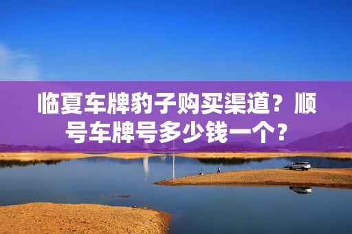 临夏车牌豹子购买渠道？顺号车牌号多少钱一个？-第1张图片-车牌靓号网