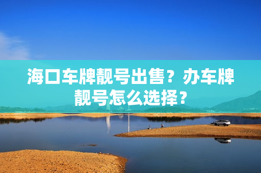 海口车牌靓号出售？办车牌靓号怎么选择？-第1张图片-车牌靓号网