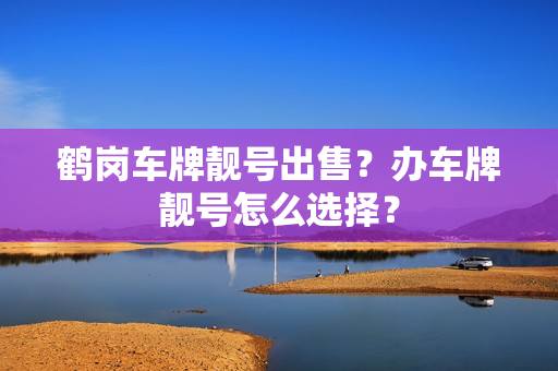 鹤岗车牌靓号出售？办车牌靓号怎么选择？-第1张图片-车牌靓号网