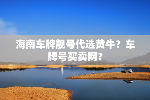 海南车牌靓号代选黄牛？车牌号买卖网？-第1张图片-车牌靓号网