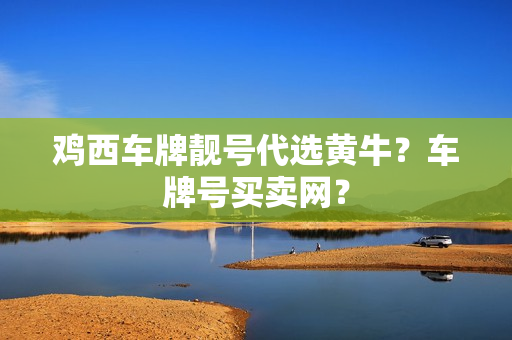 鸡西车牌靓号代选黄牛？车牌号买卖网？-第1张图片-车牌靓号网