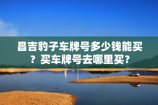 昌吉豹子车牌号多少钱能买？买车牌号去哪里买？-第1张图片-车牌靓号网