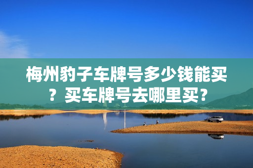 梅州豹子车牌号多少钱能买？买车牌号去哪里买？-第1张图片-车牌靓号网