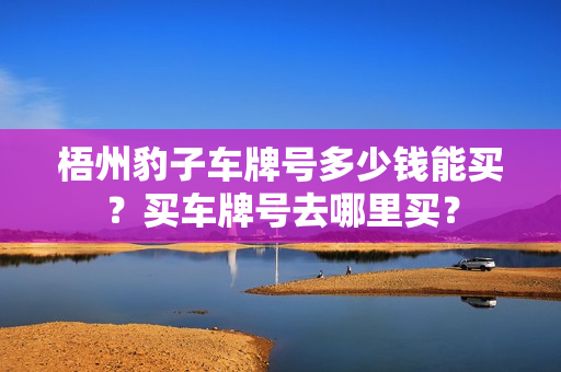 梧州豹子车牌号多少钱能买？买车牌号去哪里买？-第1张图片-车牌靓号网