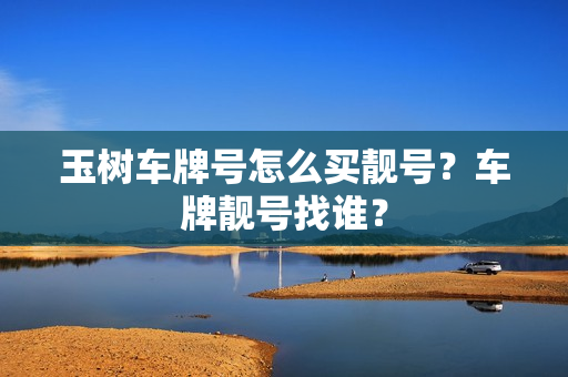 玉树车牌号怎么买靓号？车牌靓号找谁？-第1张图片-车牌靓号网