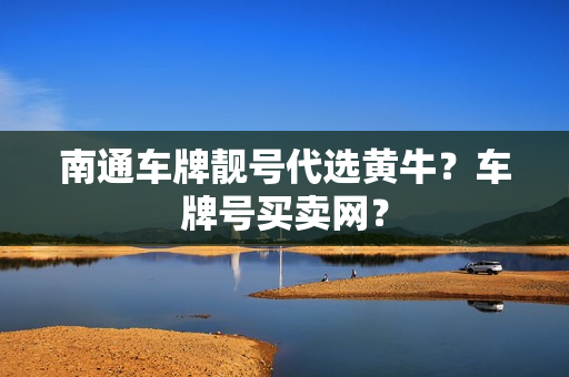 南通车牌靓号代选黄牛？车牌号买卖网？-第1张图片-车牌靓号网