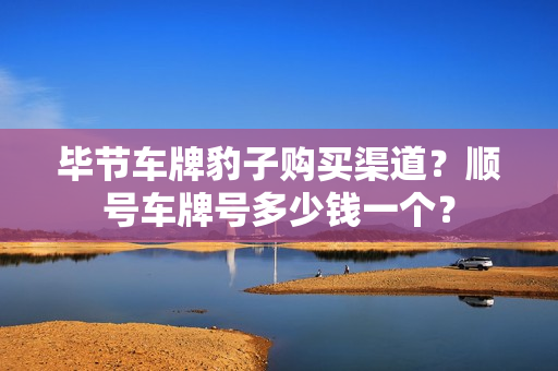 毕节车牌豹子购买渠道？顺号车牌号多少钱一个？-第1张图片-车牌靓号网