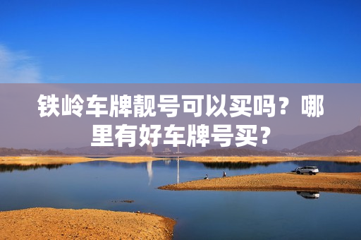 铁岭车牌靓号可以买吗？哪里有好车牌号买？-第1张图片-车牌靓号网