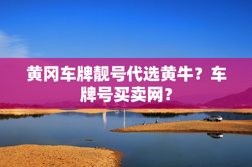 黄冈车牌靓号代选黄牛？车牌号买卖网？-第1张图片-车牌靓号网